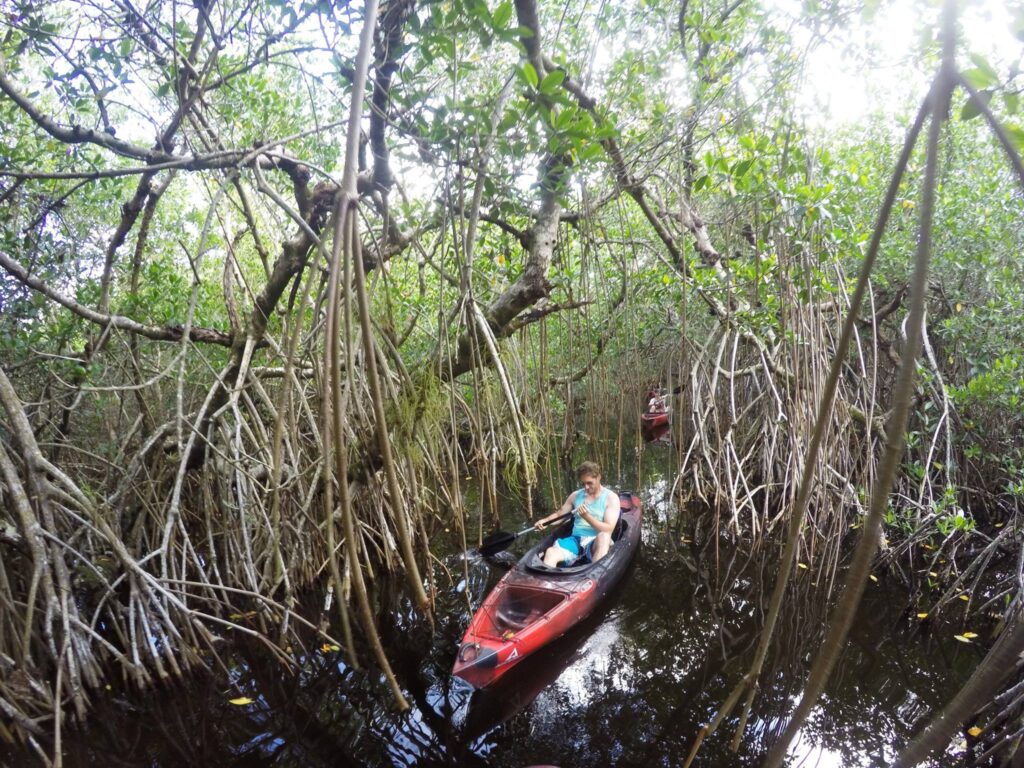Everglades Kayak & Motorboat Tours