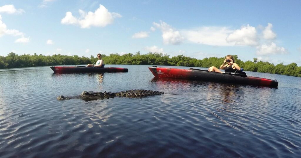 Everglades Kayak & Motorboat Tours